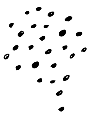 dots icon